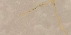 Atlas Concorde Russia Symphonyx Cashmere Rett Lapp Коричневый Лаппатированный Ректифицированный Керамогранит 60x120 см