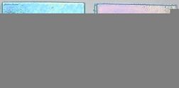 Rose Mosaic Rainbow WA11 (формат 1,5х1,5) Мозаика 31,8х31,8 см