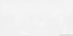 Alma Ceramica Brenta TWU09MNR030 Керамическая плитка 24,9x50