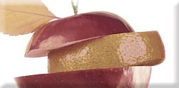 Absolut Keramika Cherry Fruit mosaic 2 Декор 10x20 см