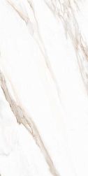 Tuscania White Marble Calacatta Oro Rett Белый Матовый Ректифицированный Керамогранит 61х122,2 см