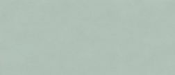 Atlas Concorde Boost Color Jade Зеленый Матовый Керамогранит 50x120 см