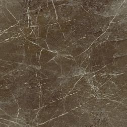 Paradyz Stone Matter Brown Gres Rekt Mat Коричневый Матовый Ректифицированный Керамогранит 59,8x59,8 см