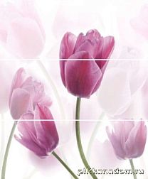 Cerrol Imperia Tulipa Панно (из 3-х штук) 60x50 см