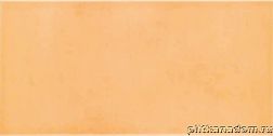 Rako Tulip WATMB021 Wall tile Настенная плитка 20x40 см