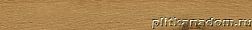 Atlas Concorde Russia Verity 610090001669 Cognac Listello Бордюр 7,2x60 см