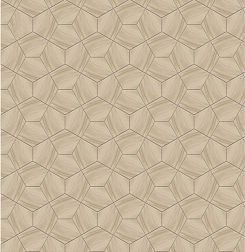 Jet Mosaic Pentagon MPEN-WDMIX Мозаика 24,3x19,1 см