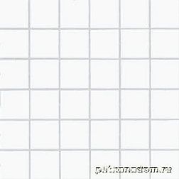 Rako Color Two GDM05052 Мозаика 5x5 30x30 см