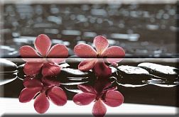 Absolut Keramika Aure Wellness Red 02 Панно 30х45 (2 шт.) см