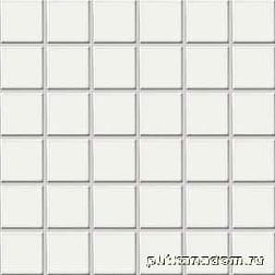 Rako Color Two GDM05023 Мозаика 5x5 30x30 см