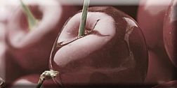 Absolut Keramika Cherry 1 Декор 10x20 см