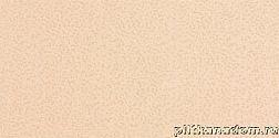 Rako Fresh WATMB081 Wall tile Настенная плитка 20x40 см