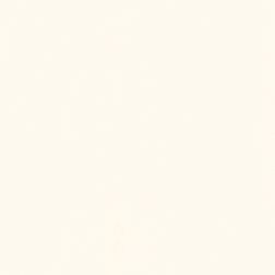 Paradyz Gamma Biala-Bianco Mat Настенная плитка 19,8х19,8 см
