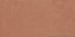 APE Ceramicas Argillae Coral Rect. A037687 Керамогранит 30x60 см
