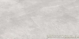 Sina 2734 Nismo Grey Polished Серый Полированный Керамогранит 60x120 см