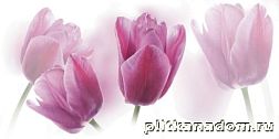 Cerrol Imperia Tulipa Декор 20x50 см
