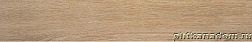 Stylnul (STN Ceramica) Inout Tacora Camel MT Бежевый Матовый Керамогранит 15x90 см