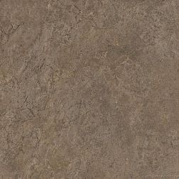 Kerama Marazzi Каприччо SG172200N Коричневый Матовый Керамогранит 40,2х40,2 см
