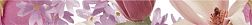 Ibero Charme Cenefa Amour Violet Бордюр 4,3х50 см