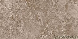 Museum Solto 4D Taupe RW-R Керамогранит 50x100 см