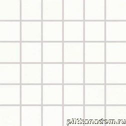 Rako Tendence WDM06050 Мозаика (5x5) 30x30 см