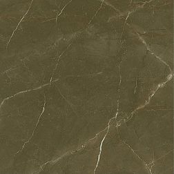 Porcelanite Dos 1804 Tabaco Rectificado Pulido Керамогранит 98x98 см