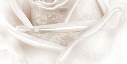 Belleza Нежность В Декор 50х25 см