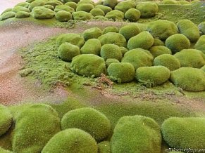 Искусственный Мох камни во мхе дизайн 12