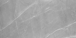 Absolut Gres Armani Gris Серый Матовый Керамогранит 60x120 см