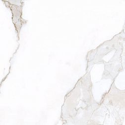 Marble Trend K-1001/LR/ Керамогранит 60x60 см