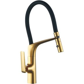 Смеситель для кухни с гибким изливом Oute T11013BJ