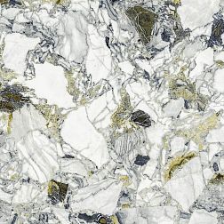 Atlas Concorde Russia Forte del Marmi Quark Ceppo Ap. Forest Rett (610010002971) Серый Матовый Керамогранит 80x80 см