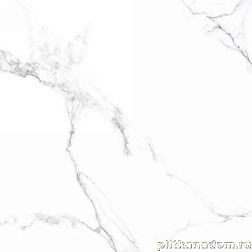 Neodom CV20208 Sixty Mckinley Керамогранит 60x60 см