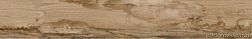 Vives World Woods Veneto-R Canela Керамогранит 19,2x119,3 см