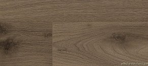 Ламинат Kaindl Classic Touch 8мм Стандарт Орех Сабо K4367 AV