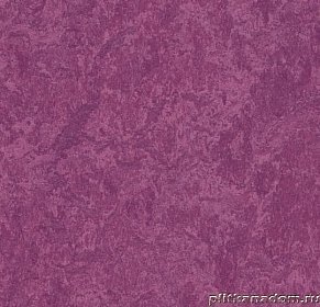 Forbo Marmoleum Real 3245 summer pudding Линолеум натуральный 2 мм