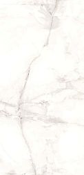 Flavour Granito Antisky Grey Glossy Серый Полированный Керамогранит 60x120 см
